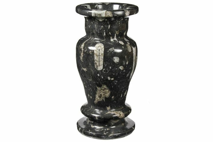 Limestone Vase With Orthoceras Fossils #122446
